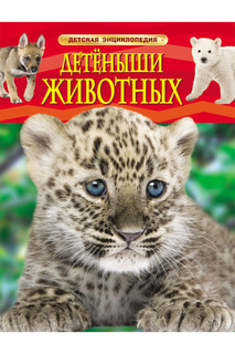Детеныши животных Росмэн