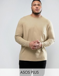 Бежевый длинный лонгслив ASOS PLUS - Бежевый