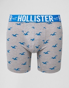 Боксеры-брифы с логотипом Hollister - Серый