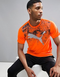 Футболка Puma Essential Pure Tech - Оранжевый