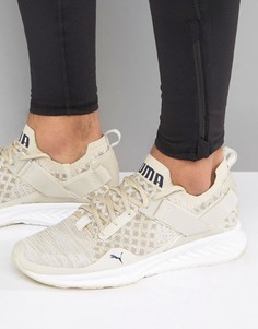 Бежевые кроссовки Puma Running Ignite Evoknit 18992602 - Бежевый