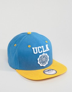 Бейсболка UCLA Byers - Синий