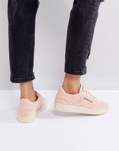 Пастельно-розовые кроссовки Reebok Classics Club C - Зеленый