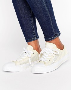 Сетчатые кеды Converse Chuck Taylor All Star Ox - Мульти