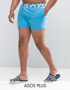 Короткие шорты для плавания с принтом на поясе ASOS PLUS - Синий