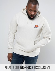 Худи с маленьким логотипом Ellesse PLUS - Светло-серый