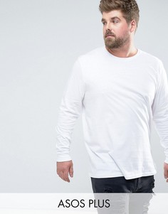 Длинный лонгслив с круглым вырезом ASOS PLUS - Белый