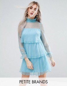 Платье мини из тюля с оборками Boohoo Petite - Синий