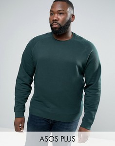 Зеленый свитшот ASOS PLUS - Зеленый