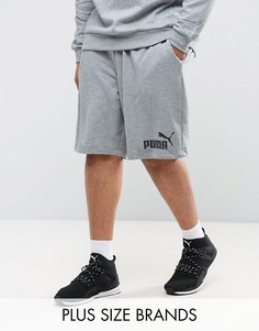 Серые трикотажные шорты Puma PLUS ESS No.1 83826103 - Серый