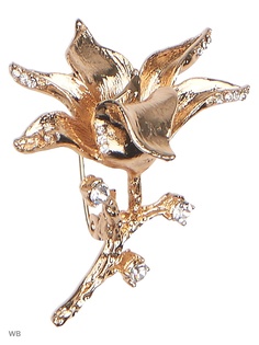 Броши Vittorio Richi