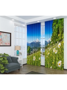 Фотошторы Сирень