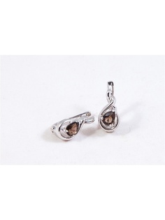 Ювелирные серьги PROsilver