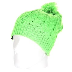 Шапка с помпоном Quiksilver Planter Beanie Green Gecko