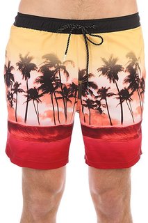 Шорты пляжные Quiksilver Wavesvolley17 Nasturticm