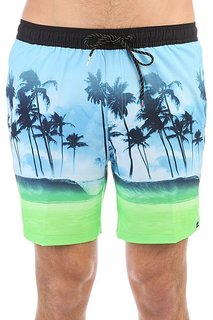 Шорты пляжные Quiksilver Wavesvolley17 Bonnie Blue
