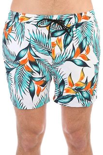 Шорты пляжные Quiksilver Paradisepoint15 Birch