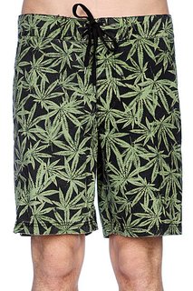Пляжные мужские шорты Fallen Board Short Green Leaf