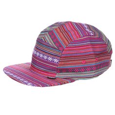 Бейсболка пятипанелька Neff Chalupaid Camper Multicolor
