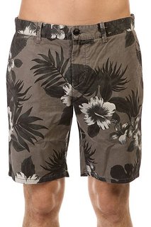 Шорты классические Quiksilver Krandy Chino Prin Wkst Castlerock
