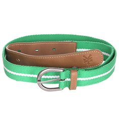 Ремень Zoo York Standart Stripe Kelly Green