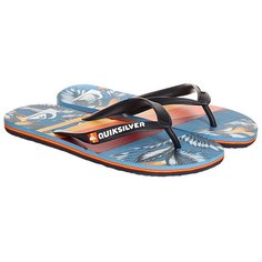 Вьетнамки Quiksilver Molokaislashprt Blue/Red/White