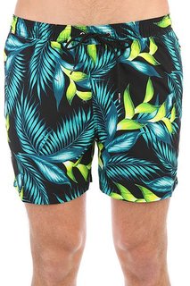 Шорты пляжные Quiksilver Paradisepoint15 Viridian Green
