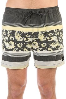 Шорты пляжные Quiksilver Swemmvisvo15 Quiet Shade