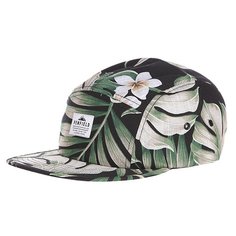 Бейсболка пятипанелька Penfield Casper Cap Black Palm