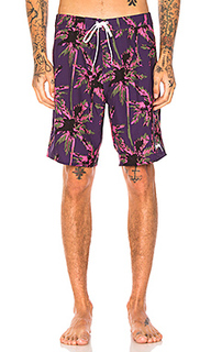 Dark wild palm trunk - Stussy