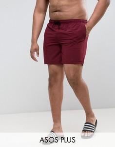 Купить мужские шорты на синтепоне в интернет-магазине Lookbuck