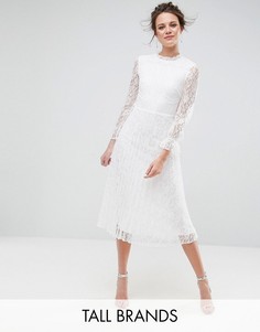 Короткое приталенное кружевное платье с высоким воротом Little Mistress Tall - Кремовый