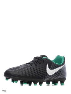 Бутсы Nike