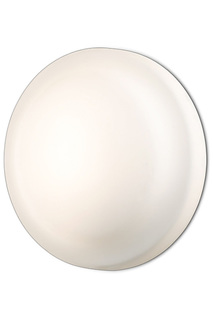 Настенно-потолочный светильник ODEON LIGHT