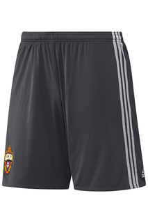 Спортивные шорты adidas