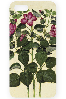 Чехол для IPhone 5 MITYA VESELKOV