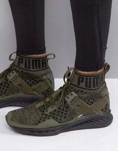 Зеленые кроссовки Puma Running Ignite Evoknit 18969705 - Зеленый