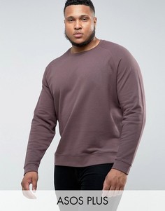 Коричневый свитшот ASOS PLUS - Коричневый