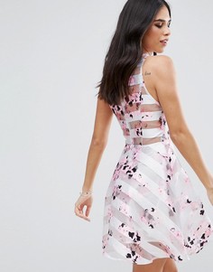 Короткое приталенное платье с цветочным принтом и сетчатыми вставками AX Paris - Кремовый
