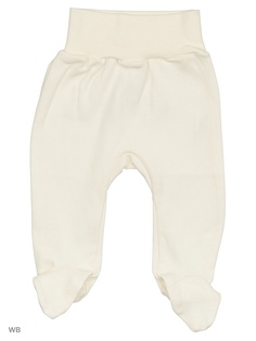 Ползунки Felis Chaus