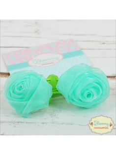 Резинки Bloomy