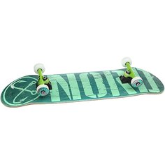 Скейтборд в сборе Nord Лого Green/Mint/Color Trucks 32 x 8.25 (21 см)