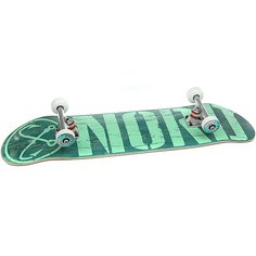 Скейтборд в сборе Nord Лого Green/Mint/Polished Trucks 32 x 8.25 (21 см)