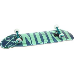 Скейтборд в сборе Nord Лого Blue/Mint/Color Trucks 31.75 x 8 (20.3 см)