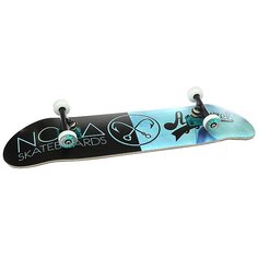 Скейтборд в сборе Nord Норд Х Моно Light Blue/Black 32.5 x 8.5 (21.6 см)