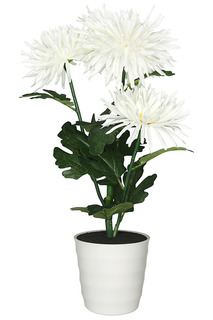 Светильник-ночник СТАРТ Start