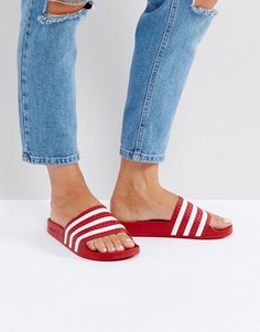 Красные сандалии adidas Adilette - Красный