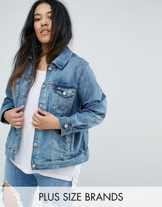 Джинсовая куртка Levis Plus - Синий