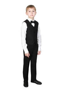 Жилеты ASR Alister
