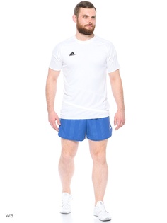 Шорты Adidas